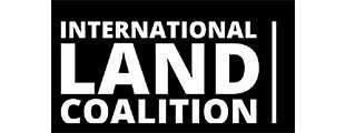 International land coalition